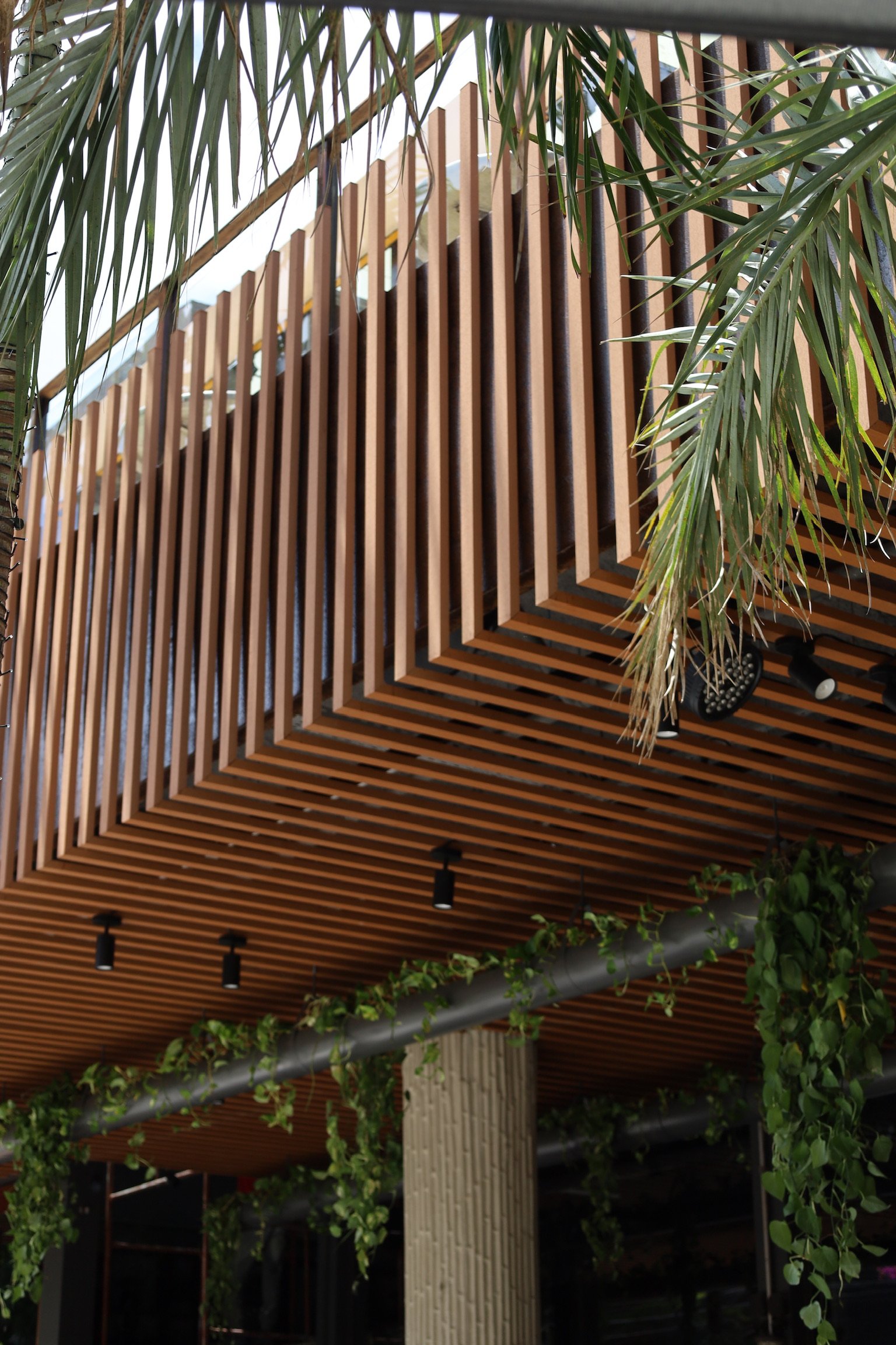 Moleska Gastrobar - Foto 16