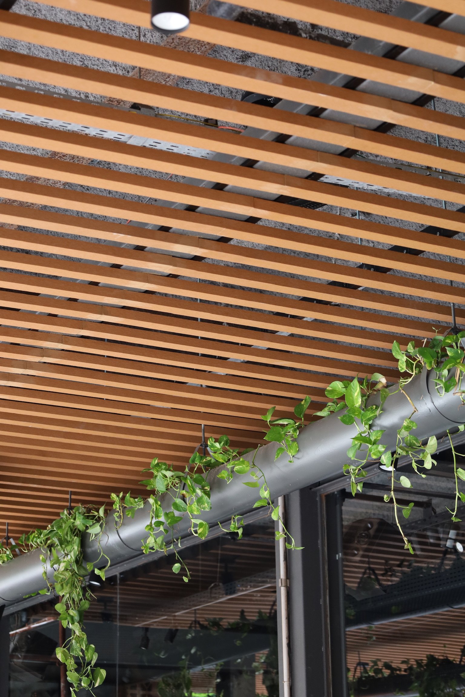 Moleska Gastrobar - Foto 18